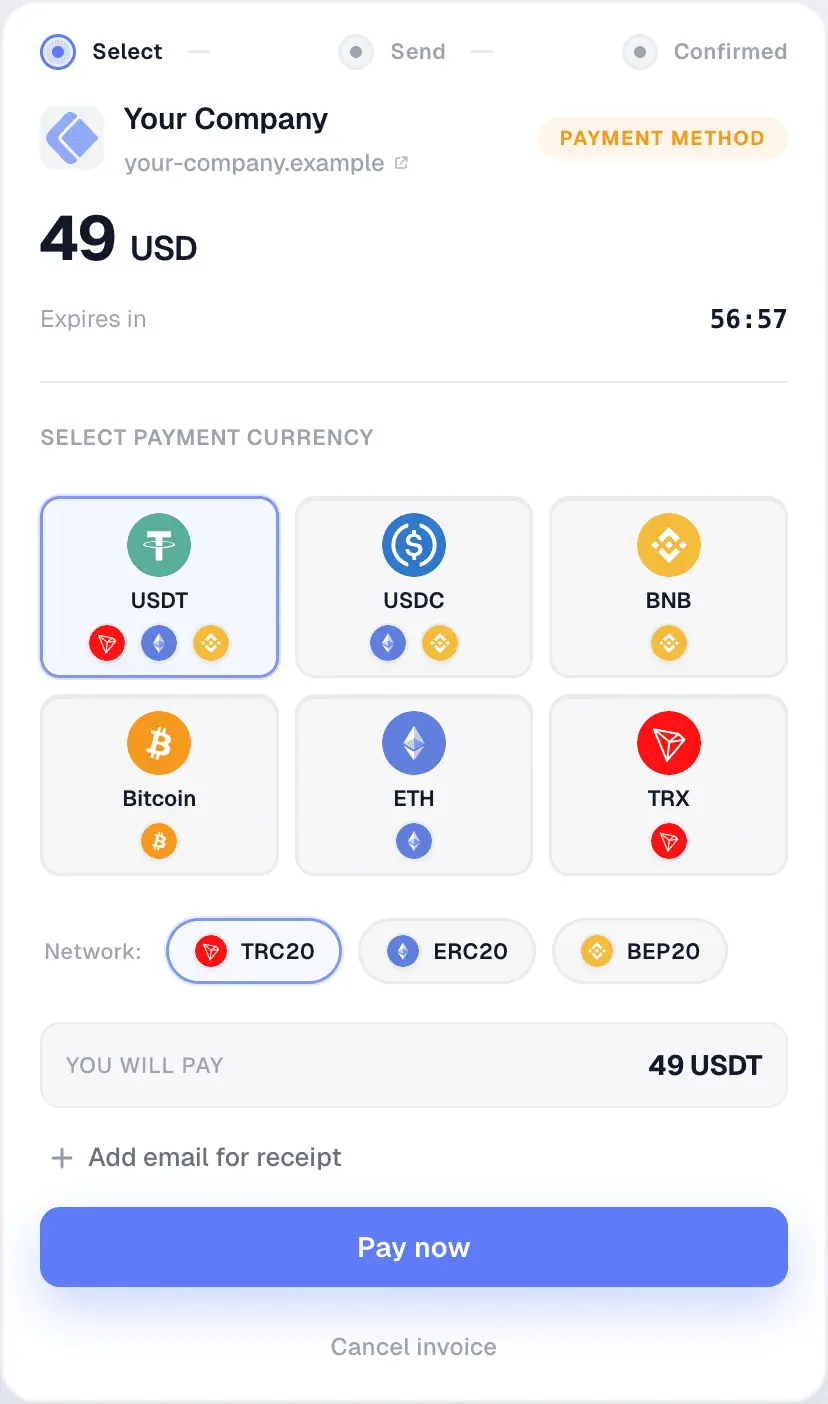 Product screenshot: hosted invoice with currency selection, amount, and Pay now.